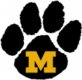 Missouri Tigers 1986-Pres Alternate Logo 01 Iron On Transfer