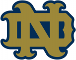 Notre Dame Fighting Irish 1994-Pres Alternate Logo 17 Print Decal