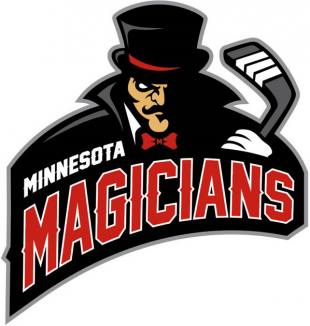 Minnesota Magicians 2013 14-Pres Primary Logo Iron On Transfer
