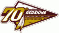 Washington Redskins 2002 Anniversary Logo Print Decal