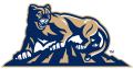 Brigham Young Cougars 1999-2004 Alternate Logo Iron On Transfer