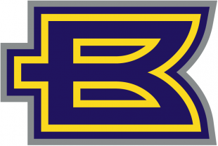 Birmingham Thunderbolts 2001 Alternate Logo 2 Print Decal