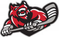 Huntsville Havoc 2016 17-Pres Secondary Logo Iron On Transfer