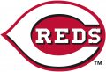 Cincinnati Reds 2013-Pres Primary Logo Iron On Transfer