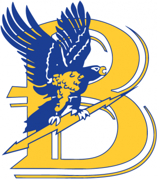 Bentley Falcons 1988-2012 Primary Logo Iron On Transfer