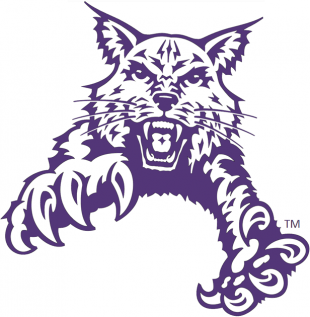 Abilene Christian Wildcats 1997-2012 Partial Logo 02 Iron On Transfer