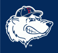 Pawtucket Red Sox 1999-2014 Cap Logo 3 Print Decal