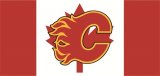 Calgary Flames Flag001 logo Iron On Transfer