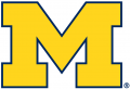 Michigan Wolverines 2012-Pres Primary Logo Iron On Transfer