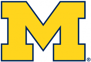 Michigan Wolverines 2012-Pres Primary Logo Print Decal