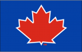 Toronto Blue Jays 2013-2017 Batting Practice Logo Iron On Transfer