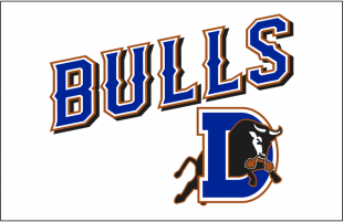 Durham Bulls 2013-Pres Jersey Logo Print Decal