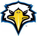 Morehead State Eagles 2005-Pres Secondary Logo 02 Iron On Transfer