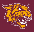 Bethune-Cookman Wildcats 2000-2015 Alternate Logo 02 Print Decal