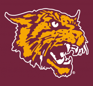 Bethune-Cookman Wildcats 2000-2015 Alternate Logo 02 Print Decal