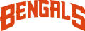 Cincinnati Bengals 1997-2003 Wordmark Logo 03 Print Decal
