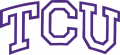 TCU Horned Frogs 1995-Pres Wordmark Logo 03 Print Decal