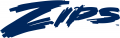 Akron Zips 2002-2007 Wordmark Logo 02 Print Decal