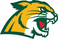 Northern Michigan Wildcats 2016-Pres Secondary Logo 01 Iron On Transfer