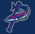 Pensacola Blue Wahoos 2012-Pres Cap Logo 2 Print Decal