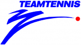 World TeamTennis 1991 Primary Logo Print Decal