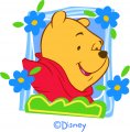 Disney Pooh Logo 24 Print Decal