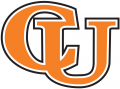 Campbell Fighting Camels 2005-2007 Wordmark Logo Iron On Transfer