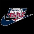 Minnesota Twins Nike logo Print Decal