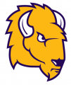 Lipscomb Bisons 2012-Pres Secondary Logo Print Decal