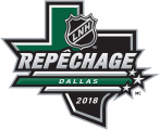 NHL Draft 2017-2018 Alt. Language Logo Print Decal