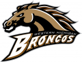 Western Michigan Broncos 1998-2015 Primary Logo Print Decal