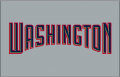 Washington Nationals 2005-2008 Jersey Logo Iron On Transfer