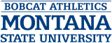 Montana State Bobcats 1997-2012 Wordmark Logo Print Decal