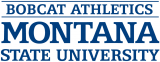 Montana State Bobcats 1997-2012 Wordmark Logo Iron On Transfer