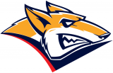 Metallurg Magnitogorsk 2015-2018 Primary Logo Iron On Transfer