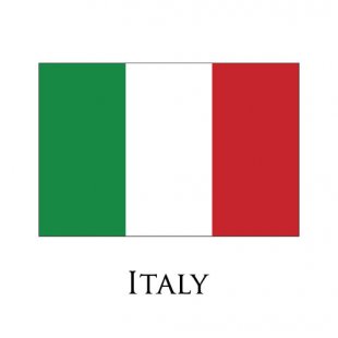 Italy flag logo Iron On Transfer