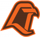 Bowling Green Falcons 1980-2005 Alternate Logo 02 Iron On Transfer