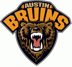 Austin Bruins 2010 11-Pres Primary Logo Iron On Transfer