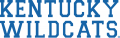 Kentucky Wildcats 2005-2015 Wordmark Logo 02 Print Decal
