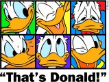Donald Duck Logo 02 Iron On Transfer