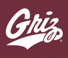 Montana Grizzlies 1996-Pres Alternate Logo 03 Print Decal