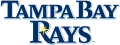 Tampa Bay Rays 2008-Pres Wordmark Logo Iron On Transfer