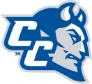 Central Connecticut Blue Devils 2011-Pres Secondary Logo Iron On Transfer