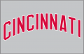 Cincinnati Reds 1968-1970 Jersey Logo Iron On Transfer