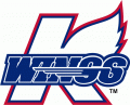Kalamazoo Wings 2009 10-Pres Primary Logo Iron On Transfer