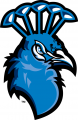 Saint Peters Peacocks 2012-Pres Secondary Logo Iron On Transfer