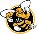 AIC Yellow Jackets 2009-Pres Alternate Logo Print Decal