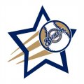 Milwaukee Brewers Baseball Goal Star logo Iron On Transfer
