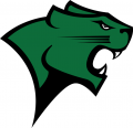 Chicago State Cougars 2009-Pres Primary Logo Print Decal
