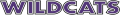 Abilene Christian Wildcats 1997-2012 Wordmark Logo 02 Iron On Transfer